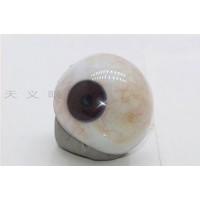 山西假眼定制-泊頭市藝水碧天公司加工異型義眼
