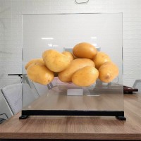 全息透明玻璃投影膜 正背投雙面成像玻璃膜 門店玻璃櫥窗展示