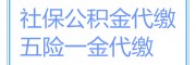 麗水公司社保一個月交多少，麗水養老代繳，麗水醫療代繳