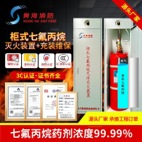 七氟丙烷滅火器雙柜式氣體滅火裝置GQQ40滅火藥劑機房商用